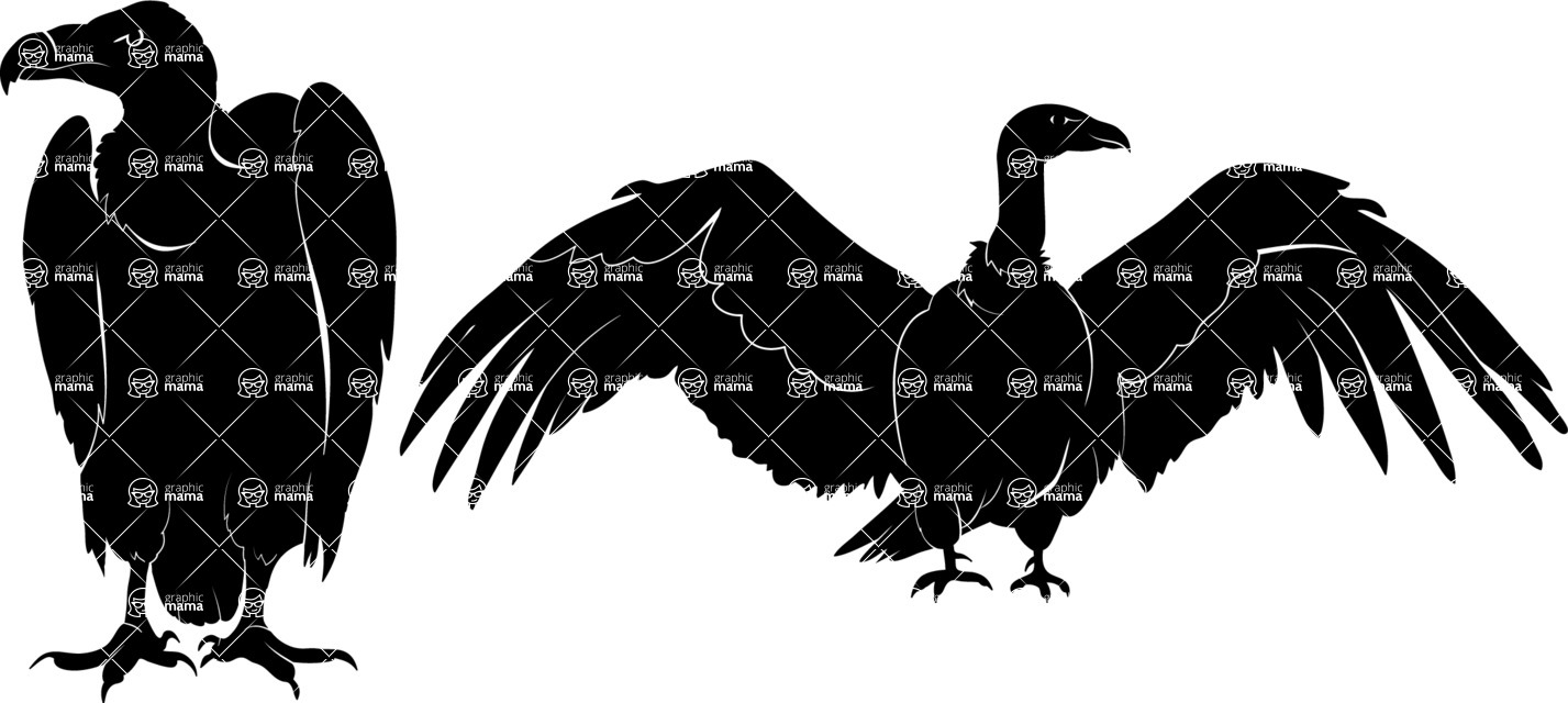 Vector silhouettes - Vector Vulture Silhouettes Set